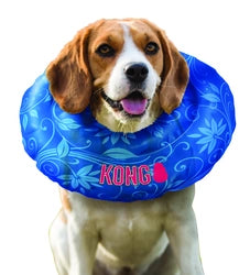 Kong Cushion [Size: X Large]