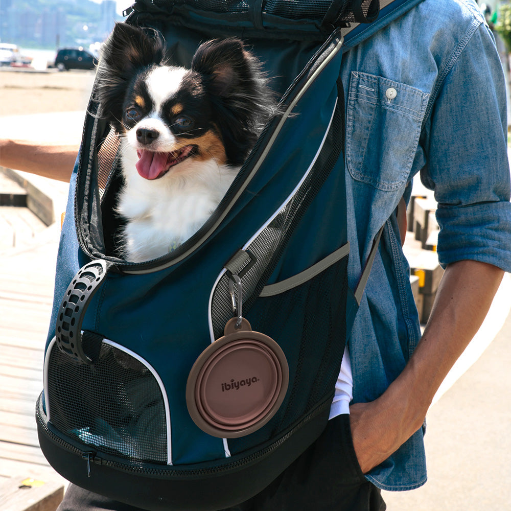 Quick Bite Collapsible Travel Pet Bowl