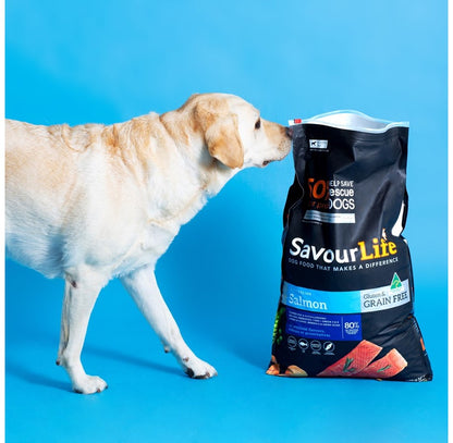 SavourLife – Adult Dog – GRAIN FREE – Australian Salmon