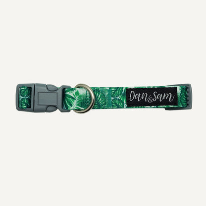 Dan & Sam – Dog Collar & Leads – Lahana