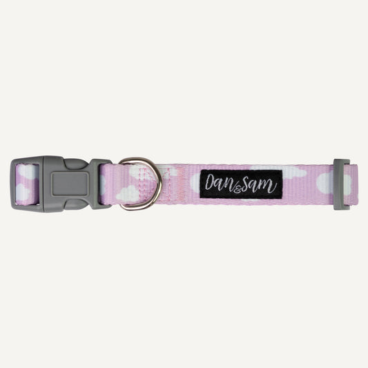 Dan & Sam – Dog Collars & Leads – Dreamer