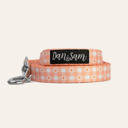 Dan & Sam – Dog Collar's & Leads – Daisy Picnic