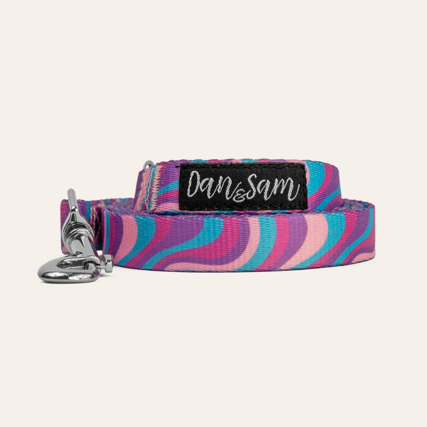 Dan & Sam – Dog Collar's & Leads – Disco Party