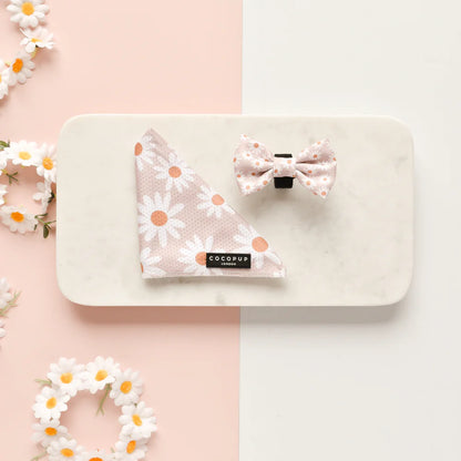 Cocopup London – Bow Tie – Daisy Chain