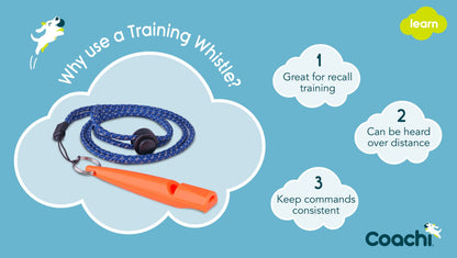 Company of Animals – Coachi – Training Whistle