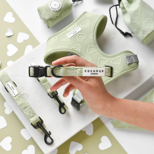 Cocopup London – LUXE Dog Collar – Sage Heart