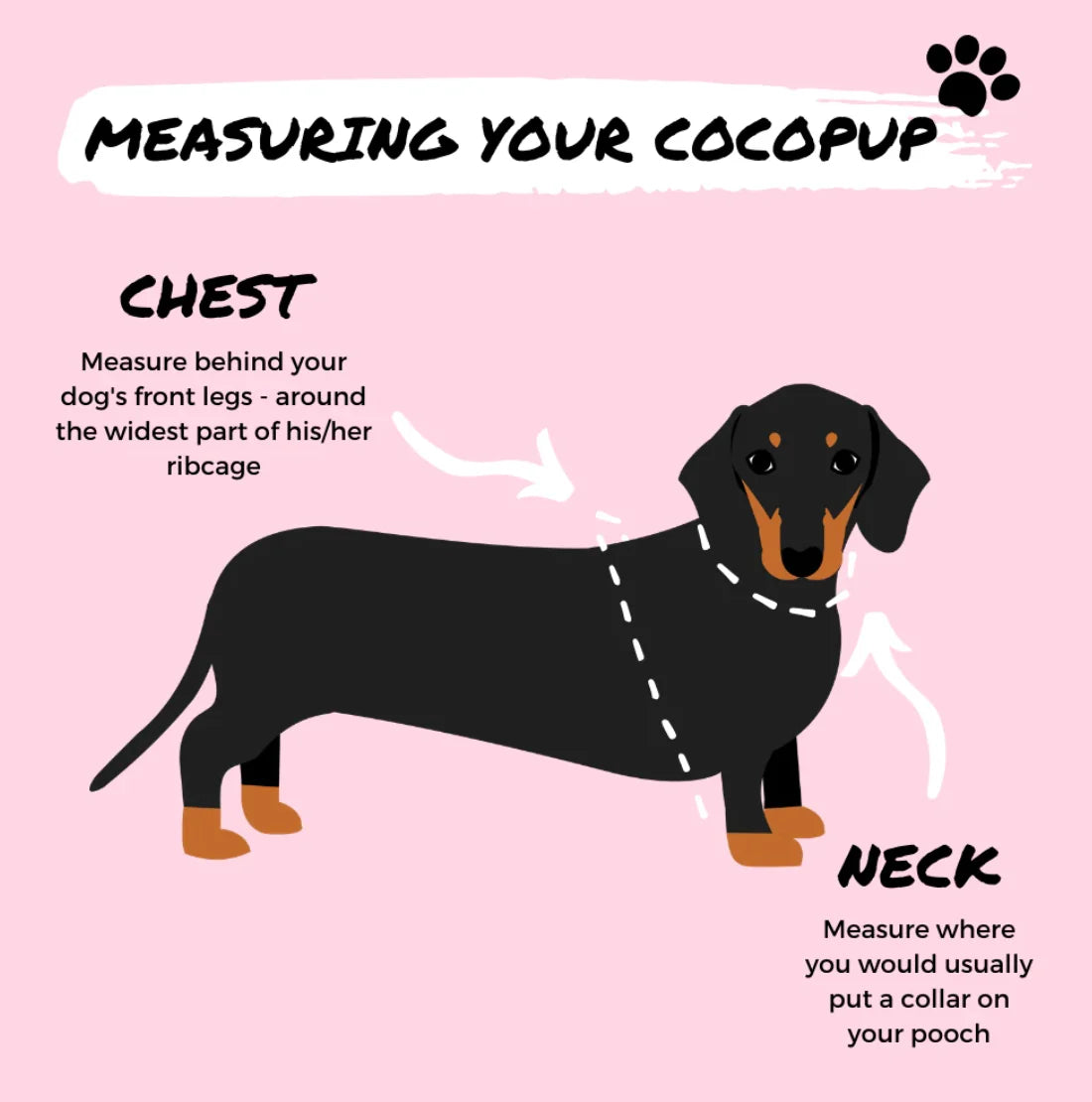 Cocopup London – Adjustable Neck Harness – DinoPaws