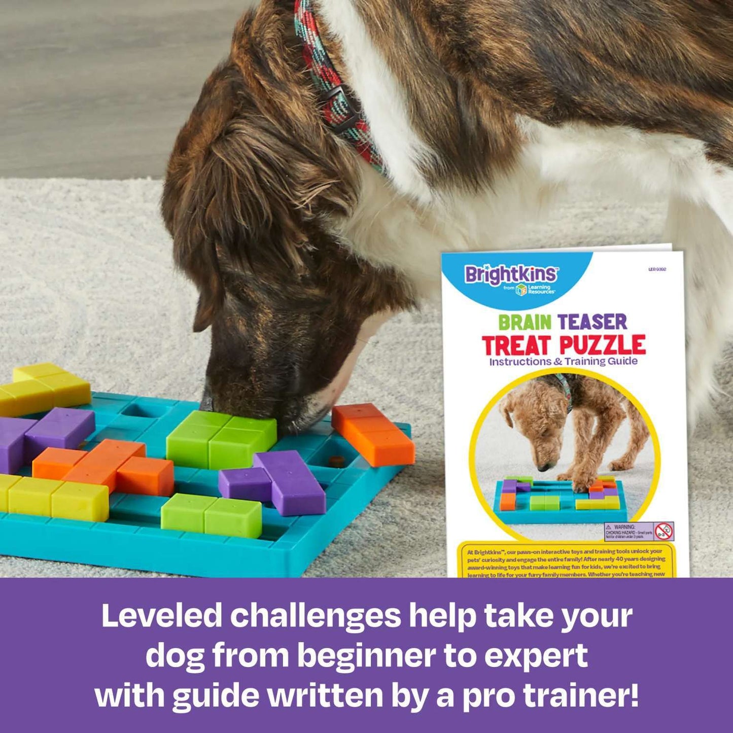 Brightkins Brain Teaser Interactive Dog Treat & Food Puzzle