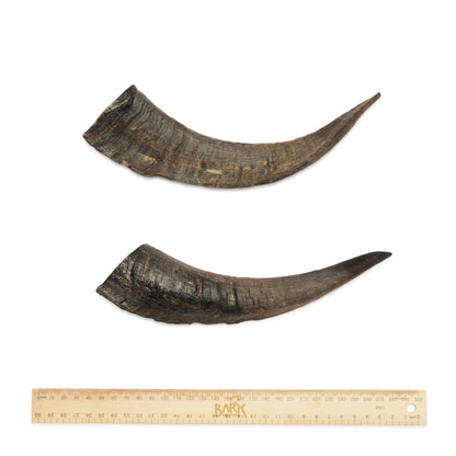 Bark & Beyond – Goat Horn - each