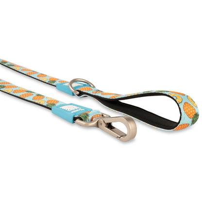 Max & Molly Dog Leash - Sweet Pineapple