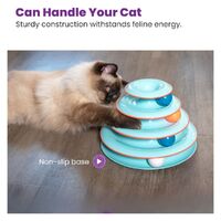 Petstages Chase Meowtain Interactive Cat Puzzle Toy