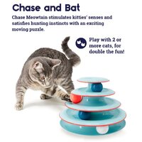 Petstages Chase Meowtain Interactive Cat Puzzle Toy