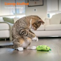 Petstages Crunchy Pickle Kicker Catnip Cat Toy