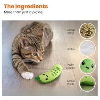 Petstages Crunchy Pickle Kicker Catnip Cat Toy