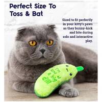 Petstages Crunchy Pickle Kicker Catnip Cat Toy