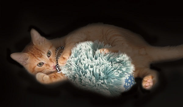 Petstages Nighttime Cuddle Toy