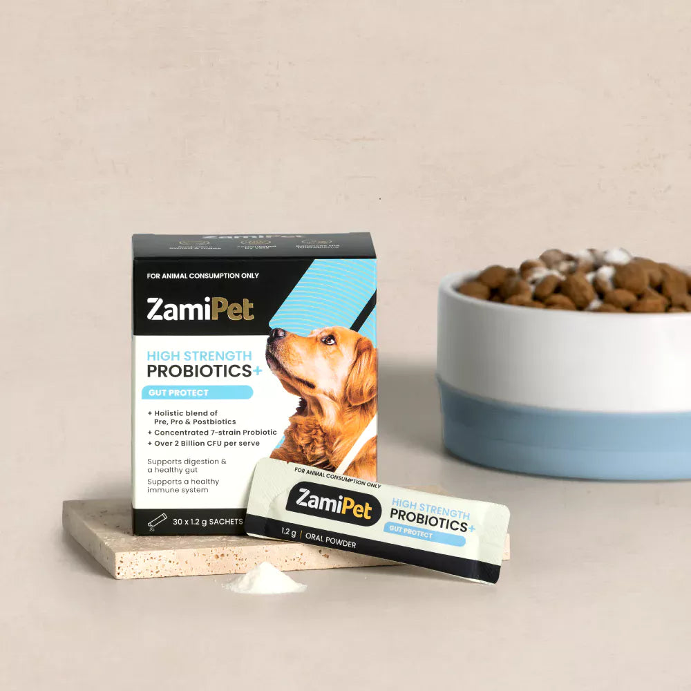 ZamiPet – High Strength Probiotics+