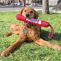 KONG Signature Stick with Rope - Safe Fetch Toy for Dogs - One Size