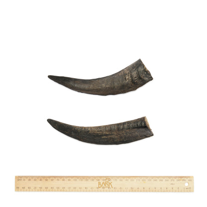 Bark & Beyond – Goat Horn - each