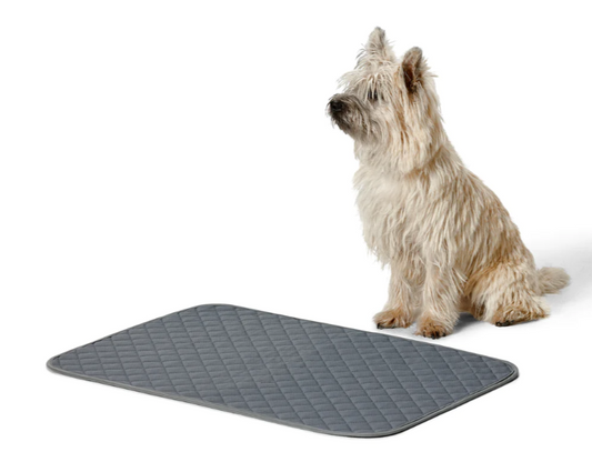 Snooza – Washable Pee Pad