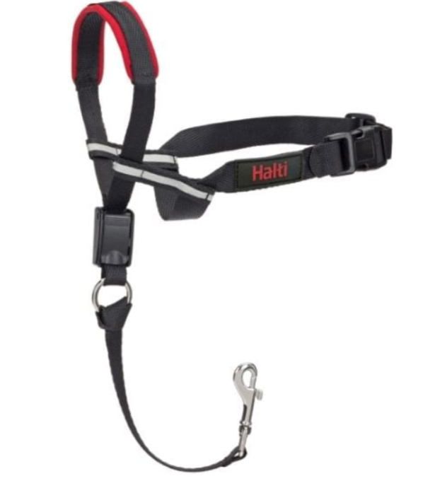 Company of Animals – Halti – Optifit Headcollar