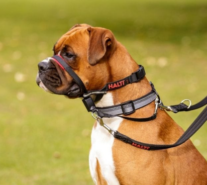 Company of Animals – Halti – Optifit Headcollar