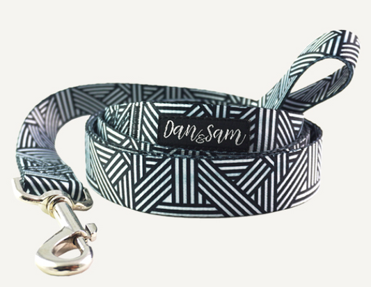 Dan & Sam – Dog Collars & Leads – Abstract