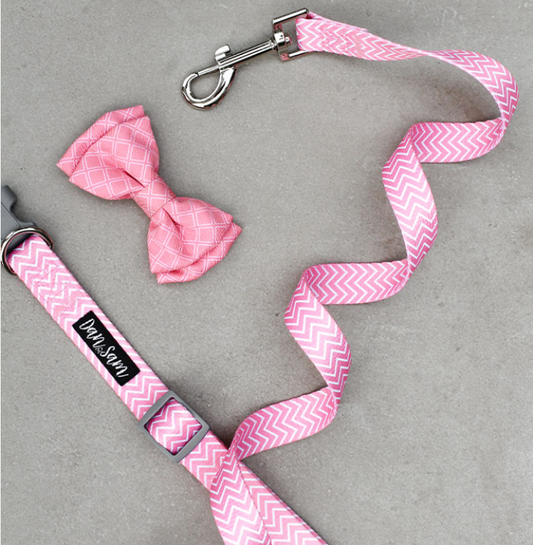 Dan & Sam – Dog Collars & Leads – Candy Floss