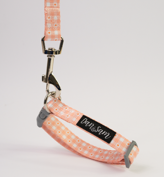 Dan & Sam – Dog Collar's & Leads – Daisy Picnic