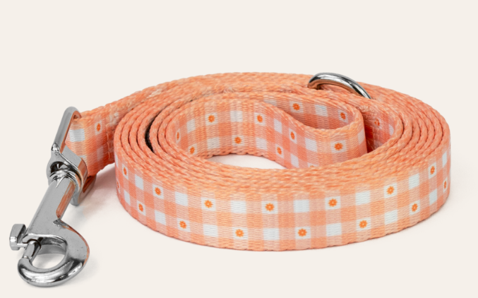 Dan & Sam – Dog Collar's & Leads – Daisy Picnic