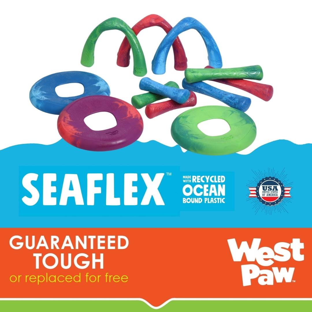 West Paw Seaflex Recycled Plastic Fetch Dog Toy - Drifty