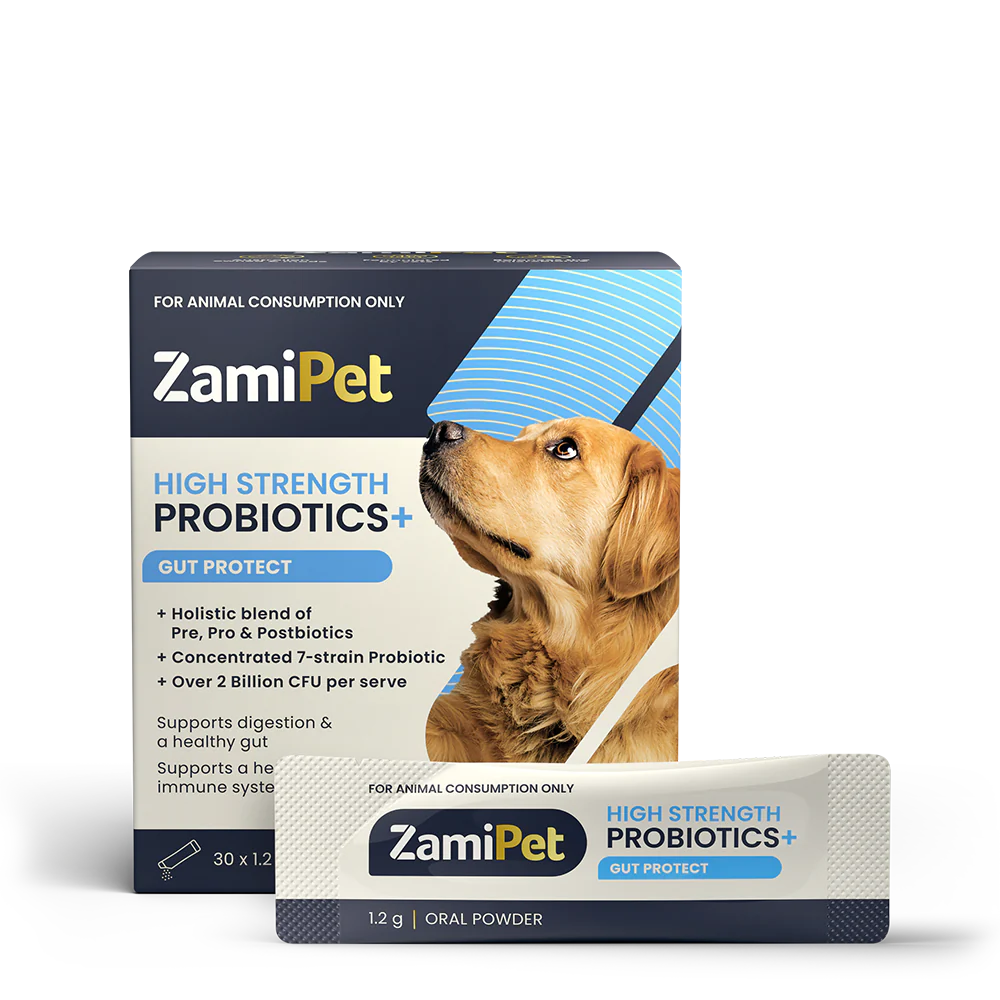 ZamiPet – High Strength Probiotics+