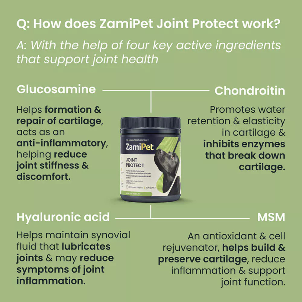 ZamiPet – Joint Protect