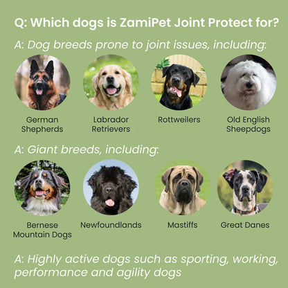 ZamiPet – Joint Protect