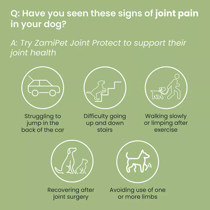 ZamiPet – Joint Protect