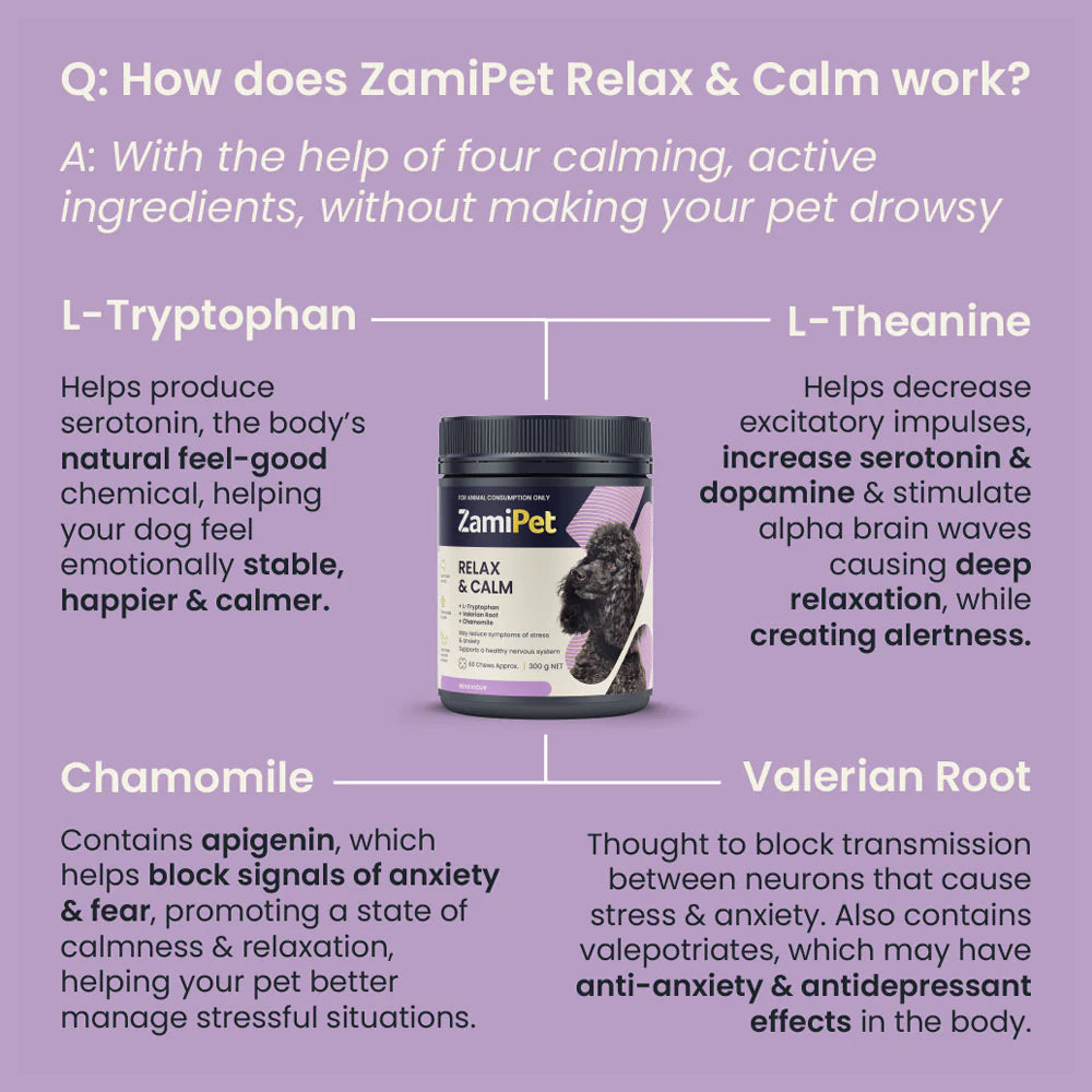 ZamiPet – Relax & Calm