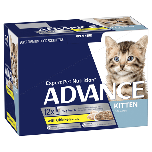 Advance – Pouches – Kitten