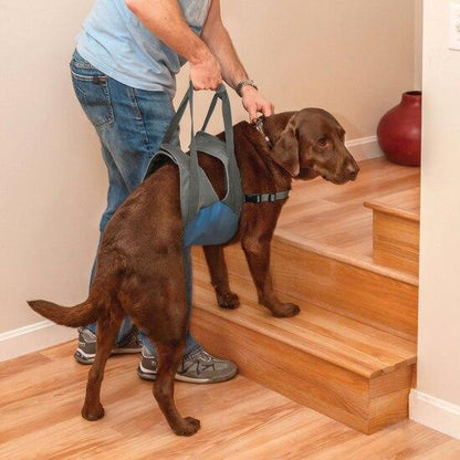 Kurgo – Up & About Dog Lifter