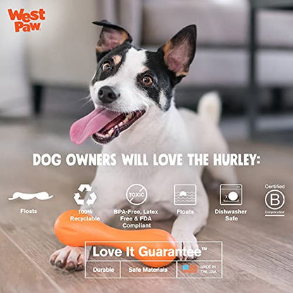 West Paw Hurley Fetch Toy for Tough Dogs