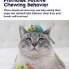 Petstages Catnip Chew Mice - Pair of Dental Care Cat Toys