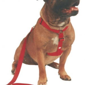 Beau Pets – Walking Harness