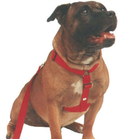 Beau Pets – Walking Harness