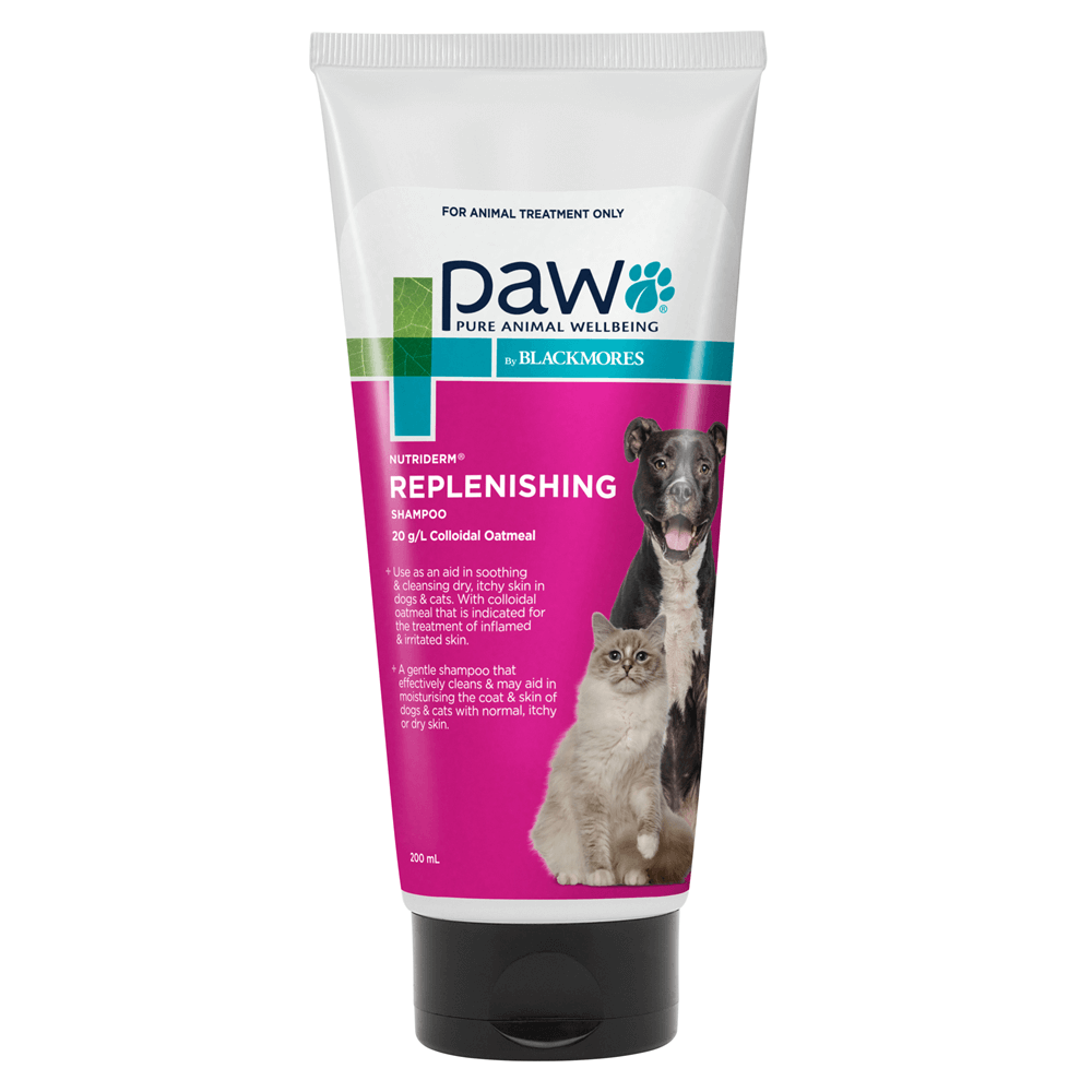 Blackmores: Paw – NutriDerm Replenishing Shampoo