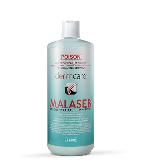 Malaseb Medicated Foam